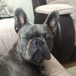 Rosemarie Baker - @baker_rosemarie59 - Instagram