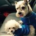 Rosemary Garrison - Facebook