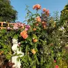rosemarielong - @rosemarielong - TikTok