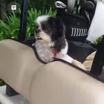 Rosemarie Mackenzie - @rosemariemackenzie5 - Instagram