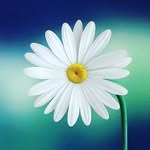 Rosemarie Mackenzie - @rosemariemackenzie - Instagram