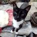 Rosemary Mann - Facebook