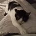 Rosemary Meeks - Facebook