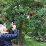 Rose-Marie Ottosson - @rosemarieottosson - Instagram
