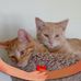 Rosemarie Ott - Facebook