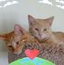 Rosemarie Ott - Facebook