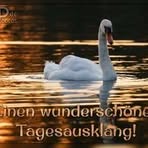 Rosemarie Rust - Facebook