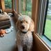 Rosemary Schaefer - Facebook