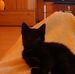 Rosemarie Winter - Facebook