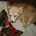 Rosemarie Wolfe - Facebook