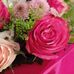 Rosemarie Bartels Schoenhoff - Facebook