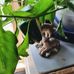 Rosemary Bender - Facebook