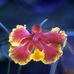 Rosemary Berman - Facebook