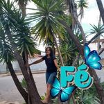 Rosemary Costa David - @rosemarycostadavidbinder - Instagram