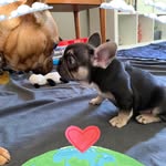Rosemary Boyd - @rosemaryboyd5632 - Instagram