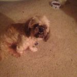 Rosemary BRay - @rosemary.bray.9 - Instagram