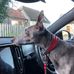 Rosemary Bray - Facebook