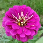 Rosemary Bruner - @rmlynnb - Instagram