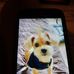 Rosemary Bryan - Facebook