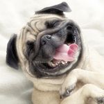 Rosemary Chambers - @utahoma1 - Instagram