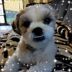 Rosemary Claydon - @rosemary.claydon.12 - Instagram