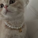 @rosemary_on_a_cloud - Instagram