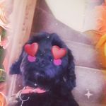 Rosemary Coates - @coates4719 - Instagram