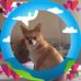 Rosemary Flanagan Colbert - Facebook