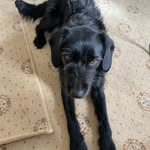 Rosemary Connon - @rosemaryconnon - Instagram