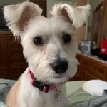 Rosemary Linder Day - @sunseton17 - Instagram