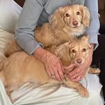 Rose Mary Dill - @rosemary_dill1950 - Instagram