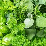 @rosemary.dill.parsely - Instagram
