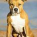 Rosemary Dowton - Facebook