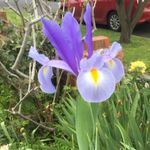 Rosemary Downs - @rosie.a.d - Instagram