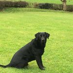 Rosemary Dutton - @rosemarydutton504 - Instagram