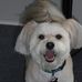 Rosemary Dutton - Facebook