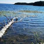 Rosemarie Eckert - @lilo.1950 - Instagram
