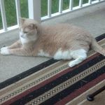 Rosemary Fleming - @ph.redder - Instagram