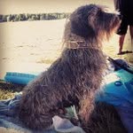 Rosemary Gary - @pigborade - Instagram