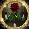 Rosemary Grafton - @rosemarygrafton - TikTok