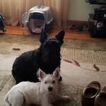 Rosemary Greaney - @rosemarygreaney - Instagram