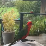 Rosemary Guyatt - @rosemaryguyatt - Instagram