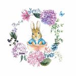 ЦВЕТЫ БЕЛГОРОД | ДОСТАВКА - @_rosemary_hare_ - Instagram