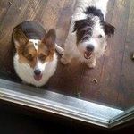 Rosemary Holmes - @rosemaryholmes1098 - Instagram