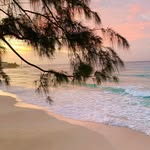 Rosemary Holmes - @rosemaryholmes647 - Instagram
