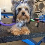 Rosemary Holmes - @rosemaryholmes - Instagram