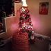 Rosemary Hooper - Facebook