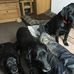 Rosemary Hooper - Facebook