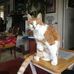 Rosemary Thuemler Koch - Facebook