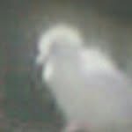 Rosemary Clark - @rosemary.clark.5220 - Instagram